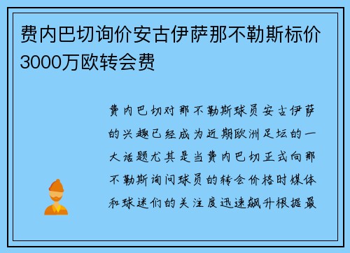 费内巴切询价安古伊萨那不勒斯标价3000万欧转会费